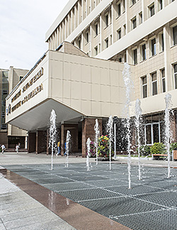 Российский экономический университет имени Г.В. Плеханова
