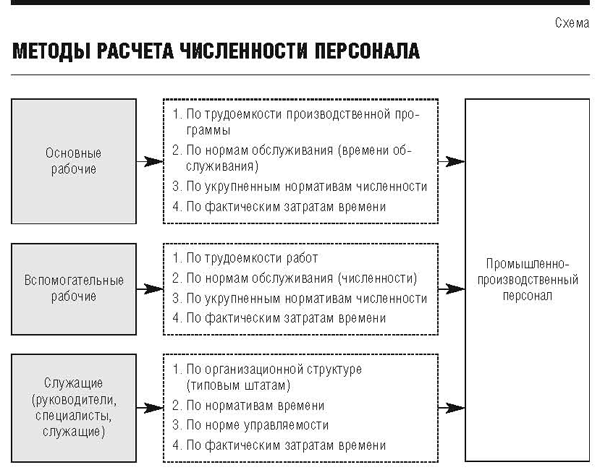 Учет численности работников организации